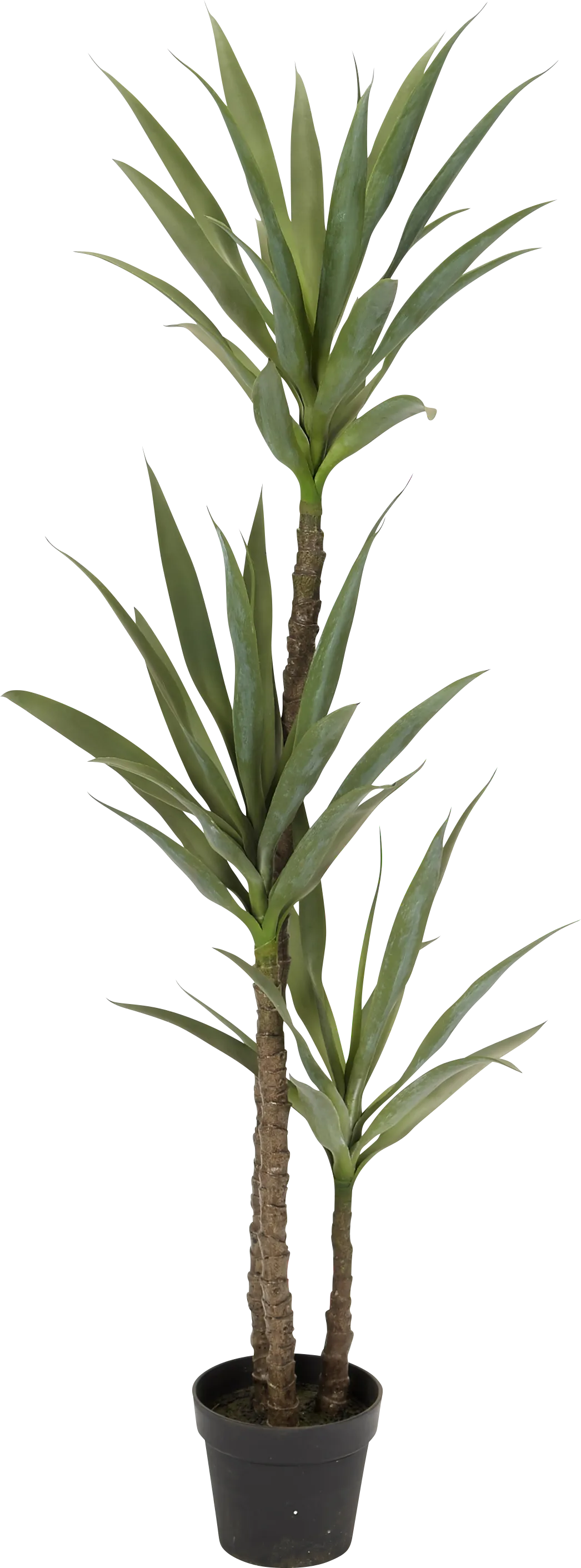 Raena Green Dracaena Silk Tree - Image 1