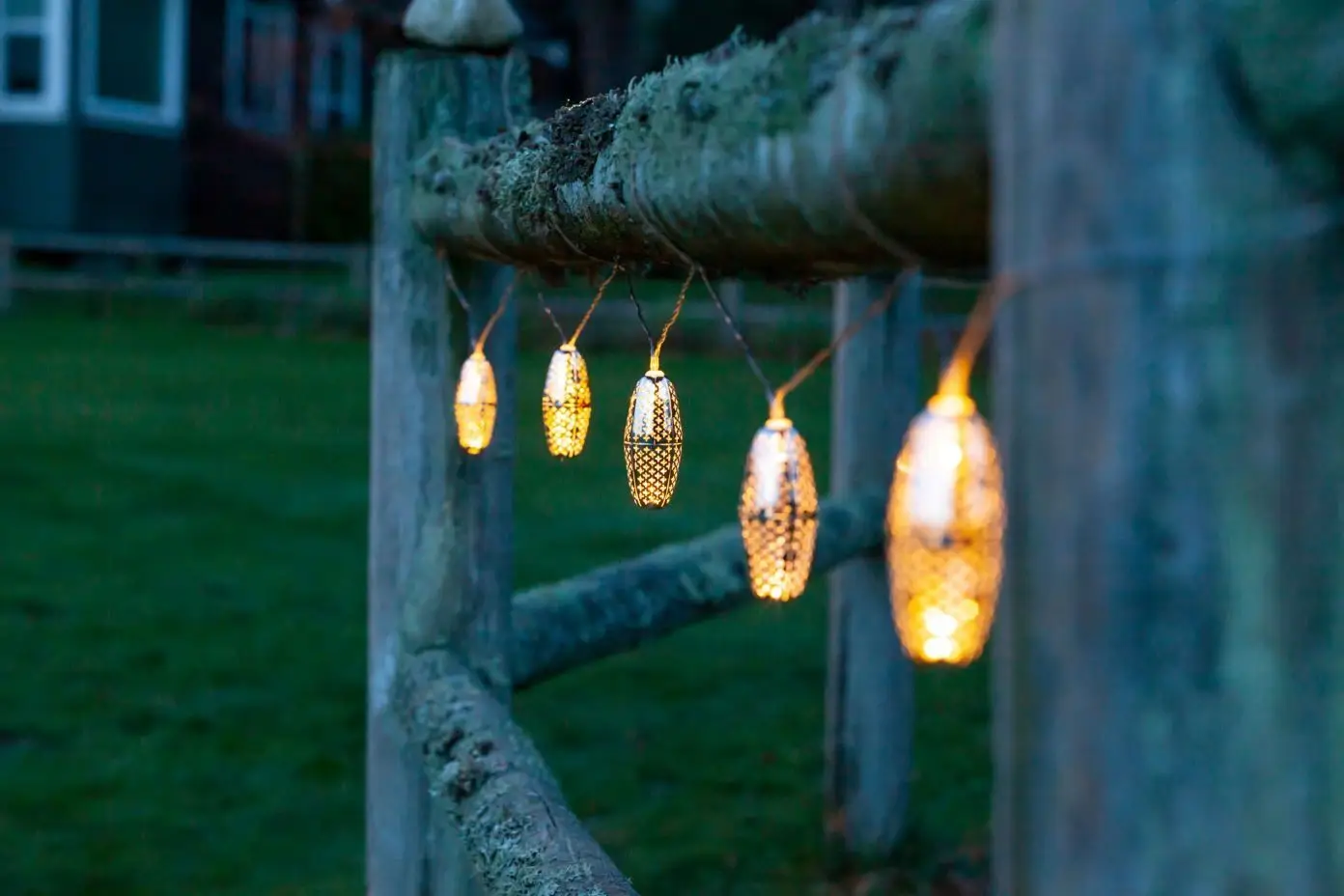 String lights hanging on a wooden fence.
