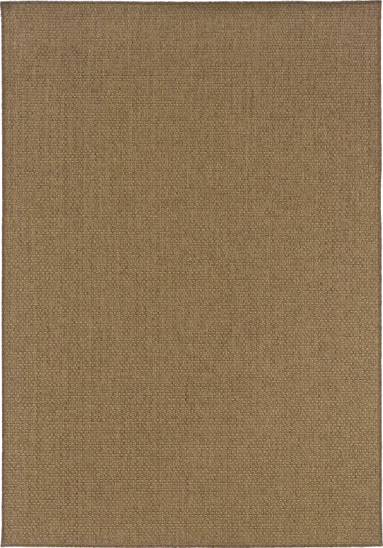 Randi Brown 6'7 x 9'6 Indoor/Outdoor Rug