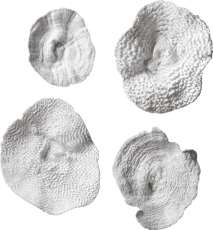 Amirah White Wall Decor, Set of 4