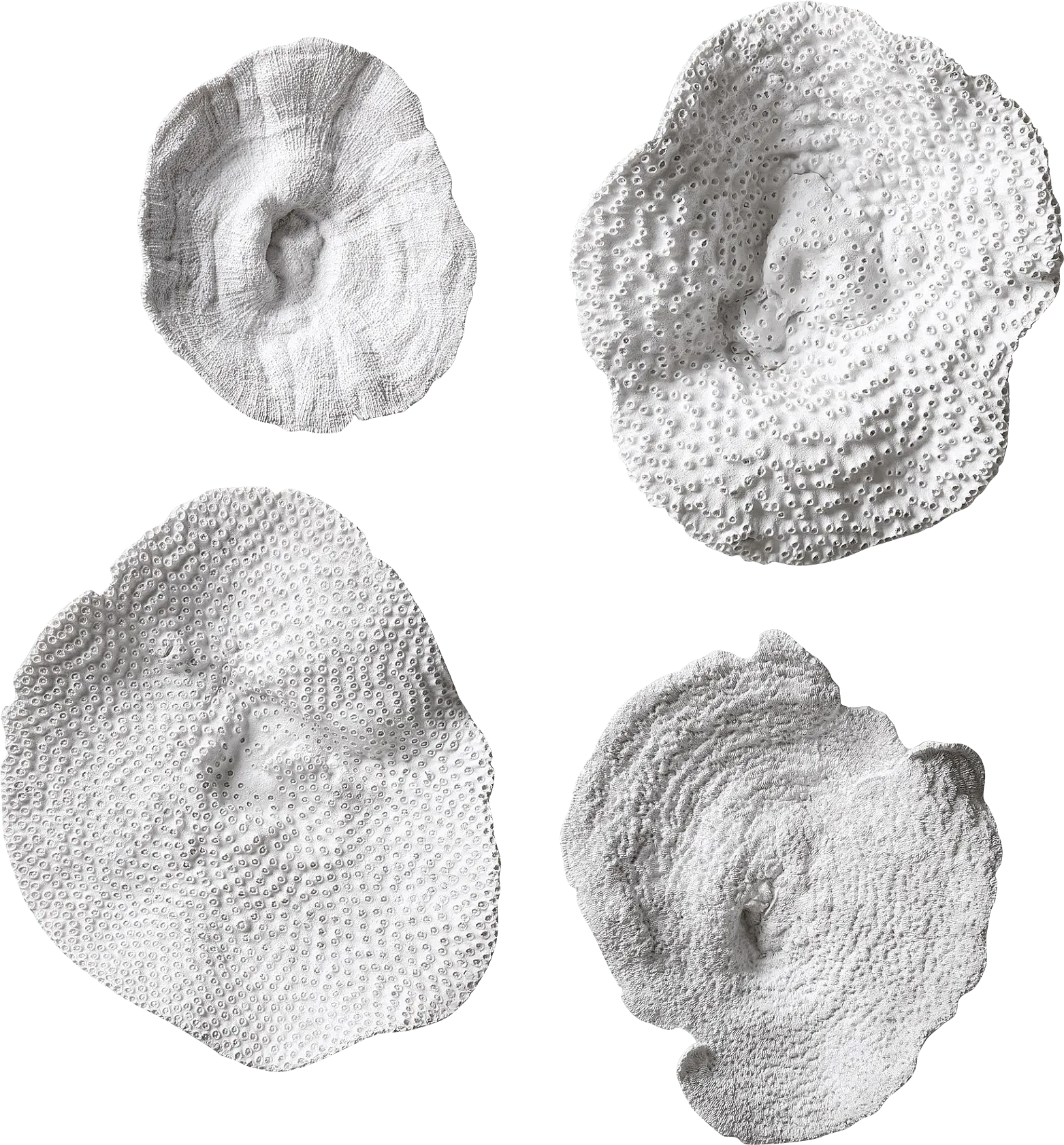 Amirah White Wall Decor, Set of 4 - Image 1