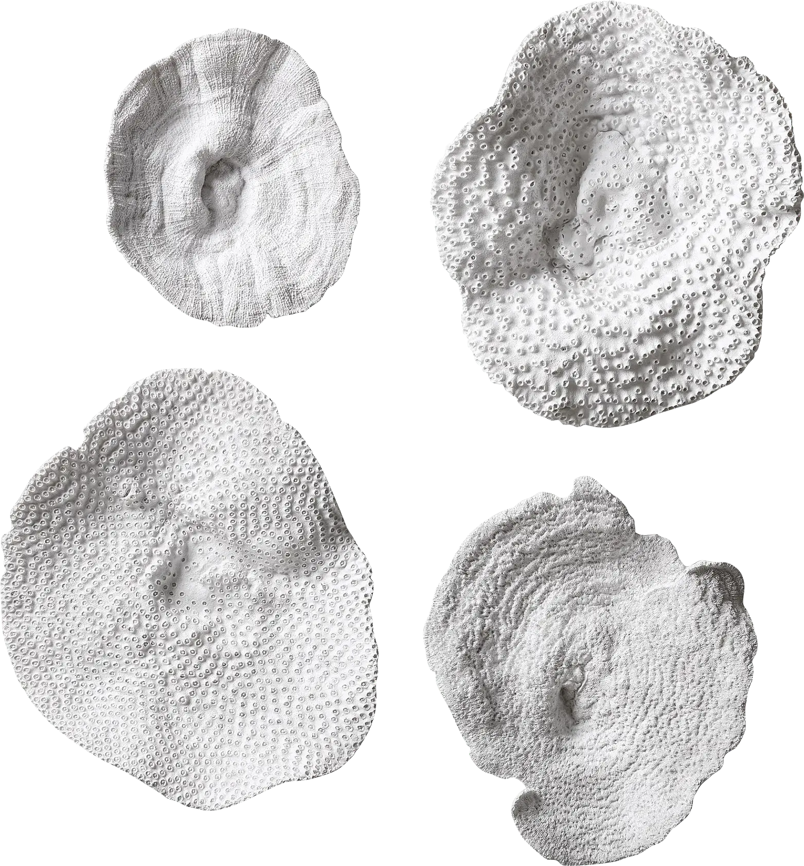 Amirah White Wall Decor, Set of 4
