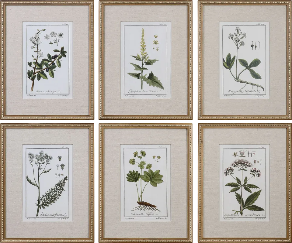 Syane Gold Set of 6 Artwork