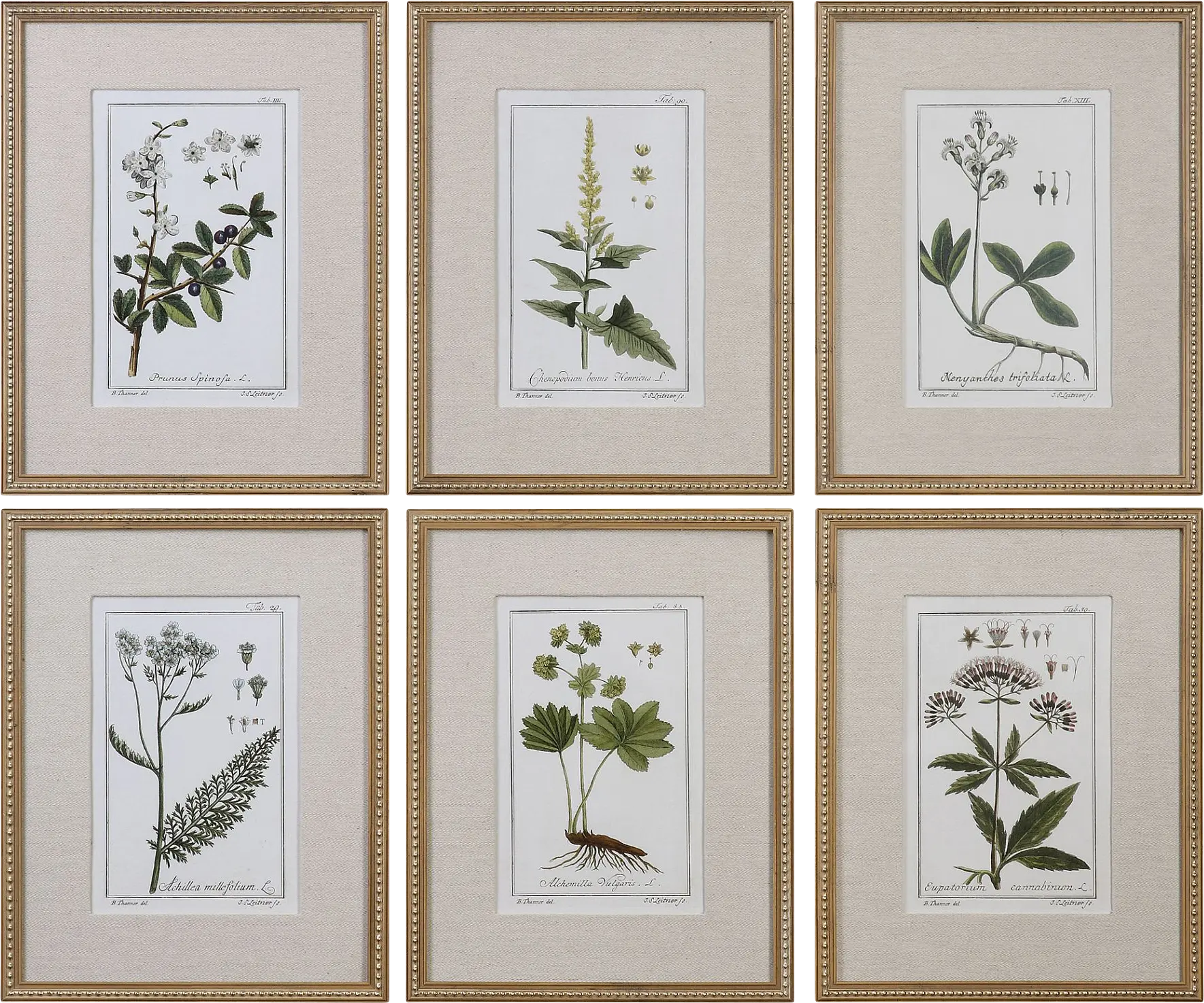Syane Gold Set of 6 Artwork