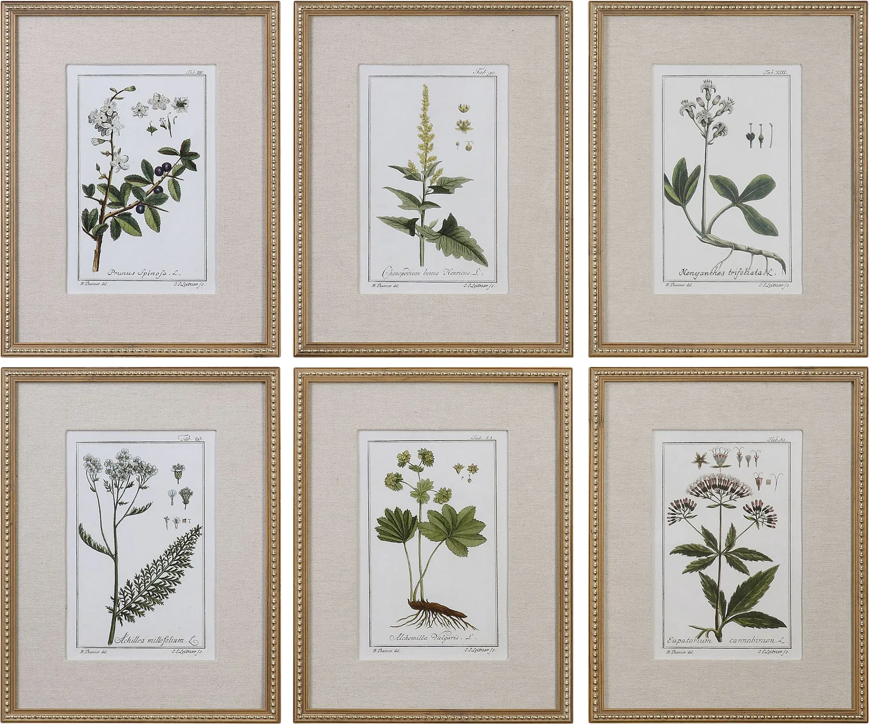 Syane Gold Set of 6 Artwork - Image 1