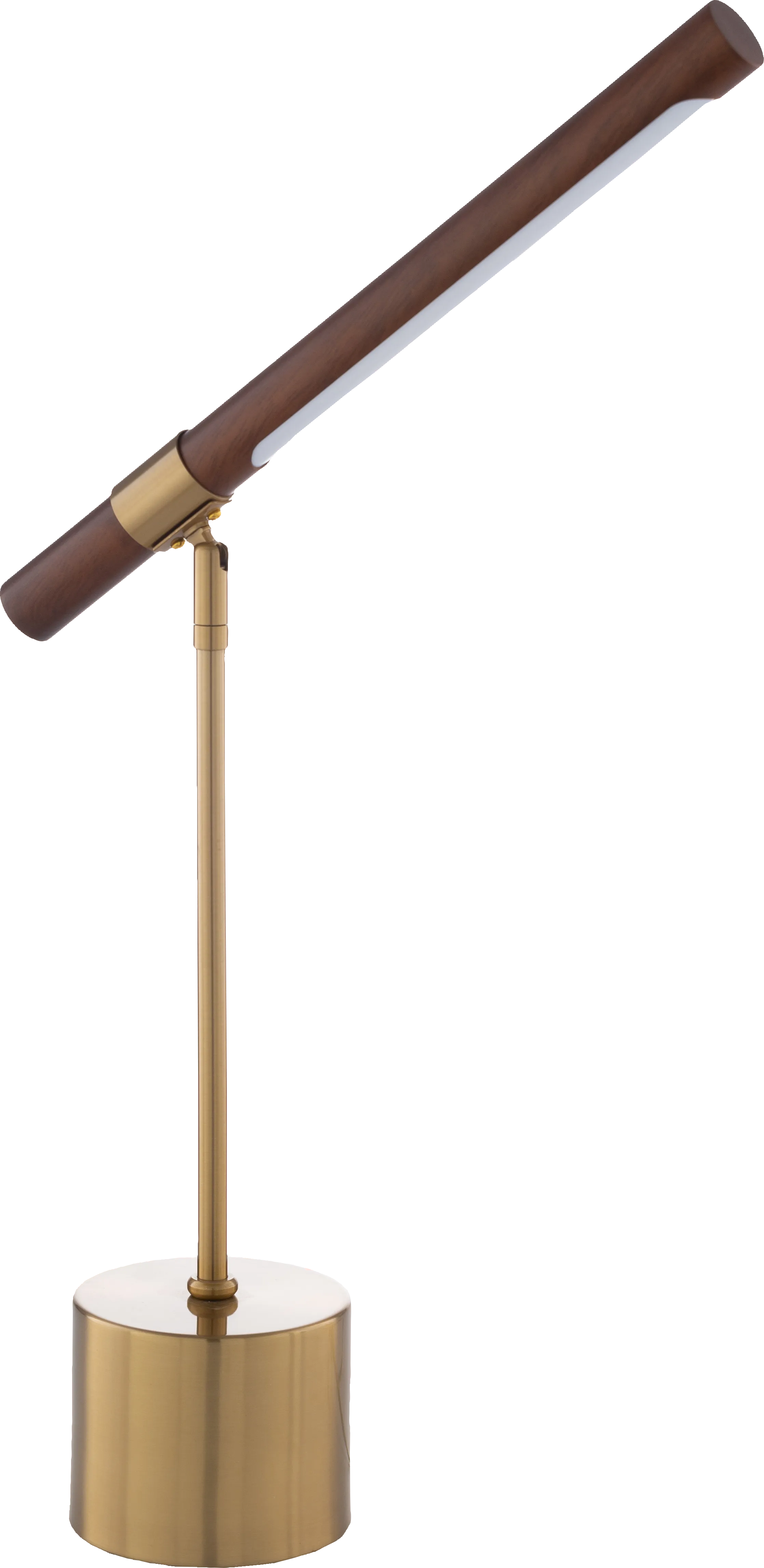 Long Branch Point Brass Lamp - Thumbnail - Image 1