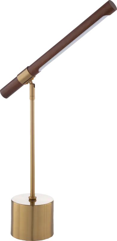 Long Branch Point Brass Lamp