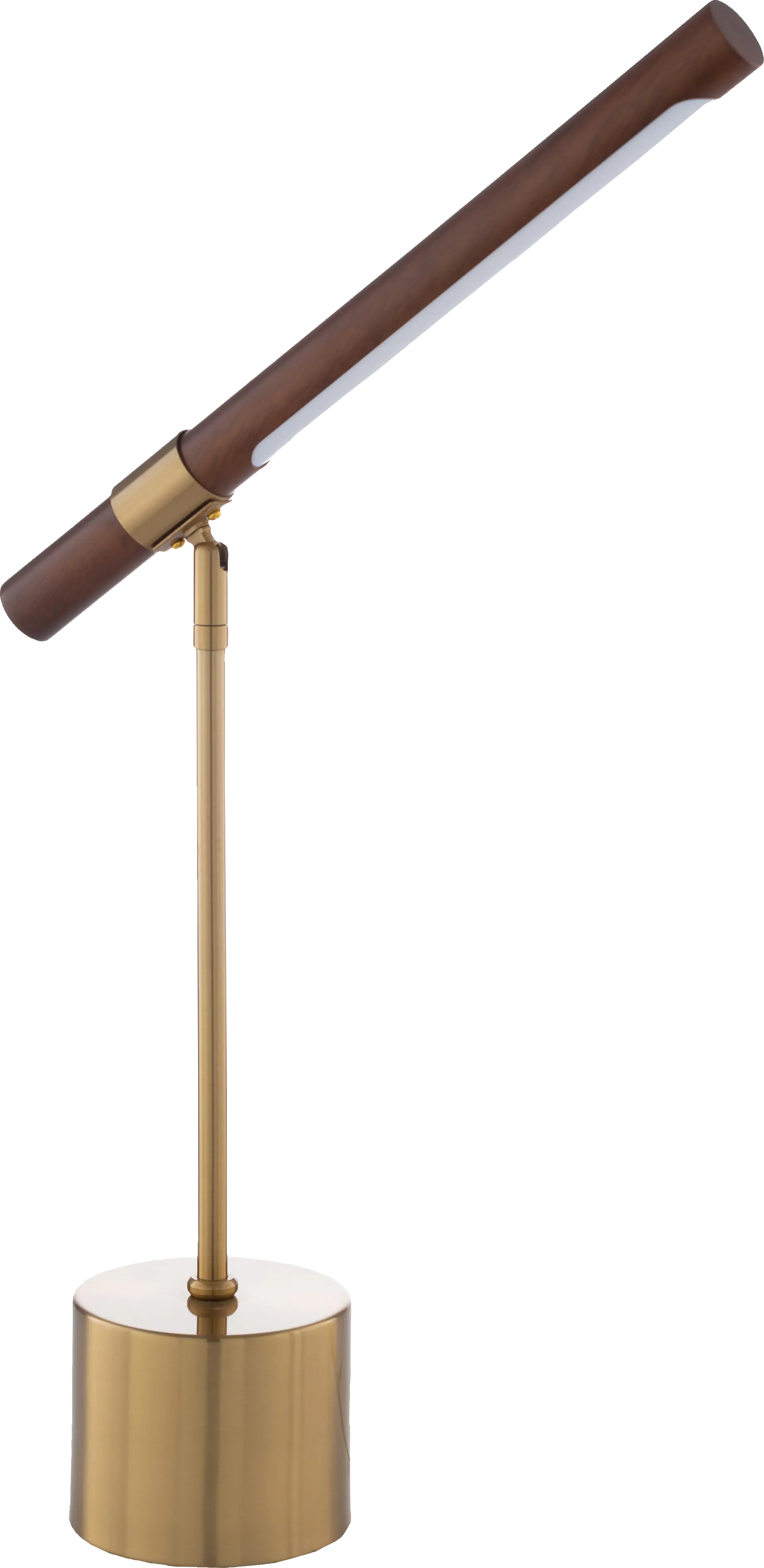 Long Branch Point Brass Lamp