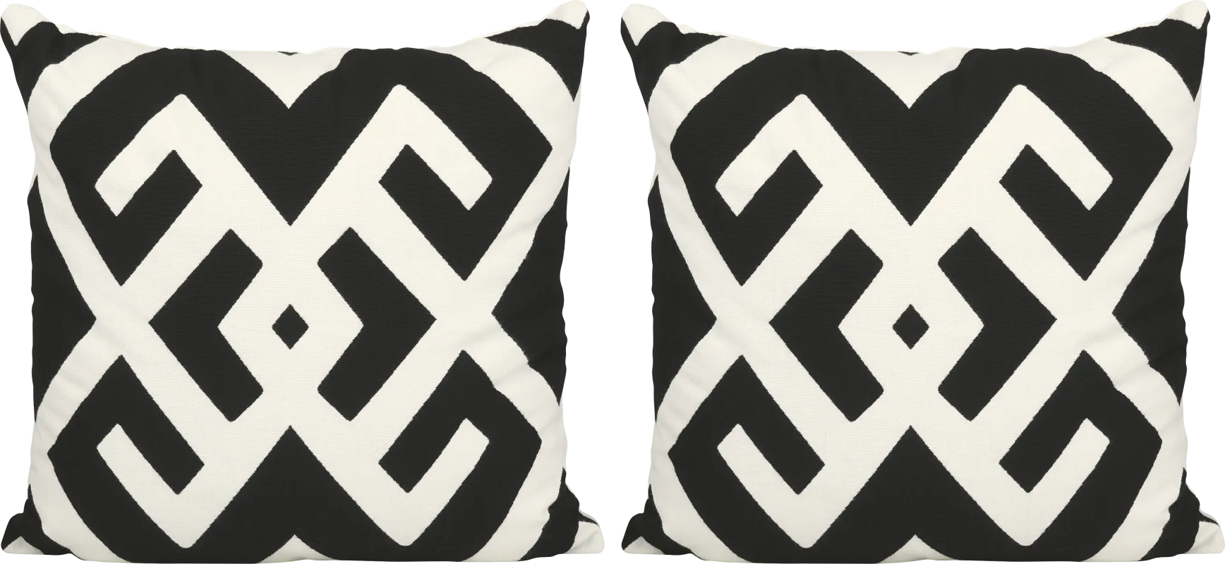 Sassandra Black Indoor/Outdoor Accent Pillow, Set of 2