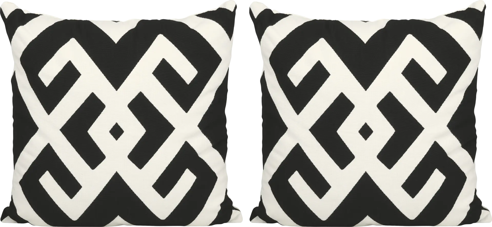 Sassandra Black Indoor/Outdoor Accent Pillow, Set of 2