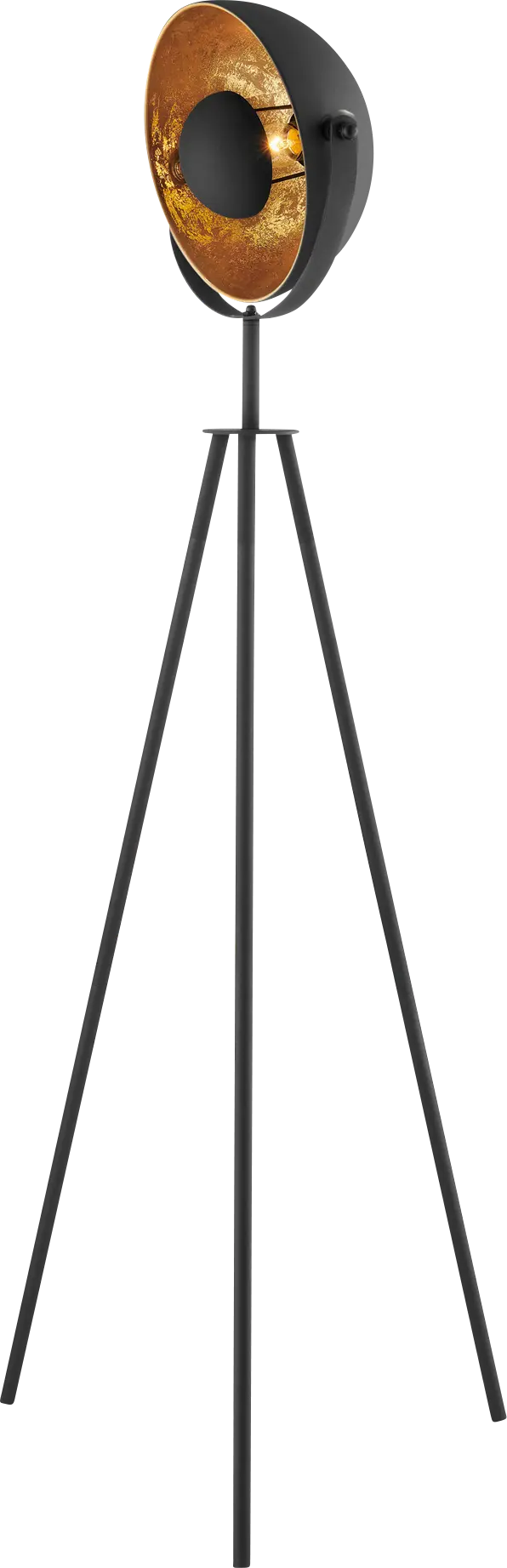 Fortress Court Black Floor Lamp