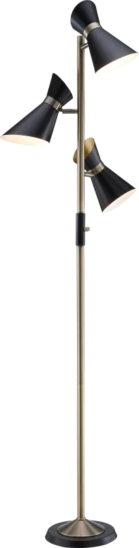 Genesee Gate Black Floor Lamp