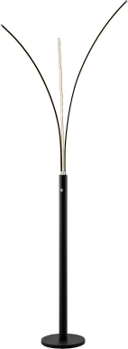 Figpoint Black Floor Lamp