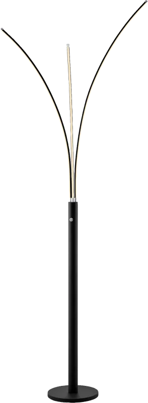 Figpoint Black Floor Lamp