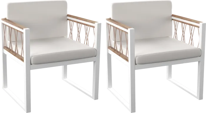 Outdoor Aldwell White Accent Chair, Set of 2