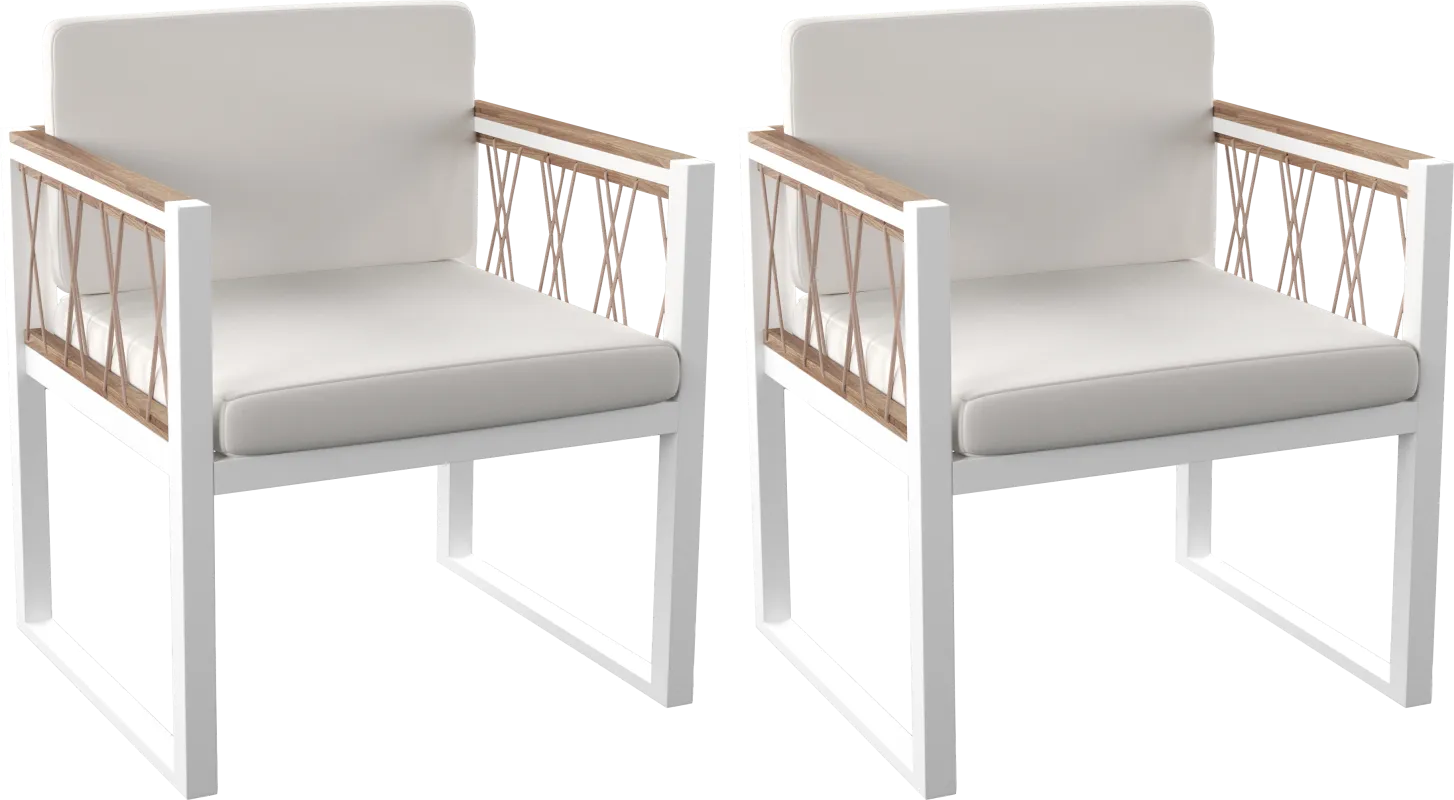 Outdoor Aldwell White Accent Chair, Set of 2