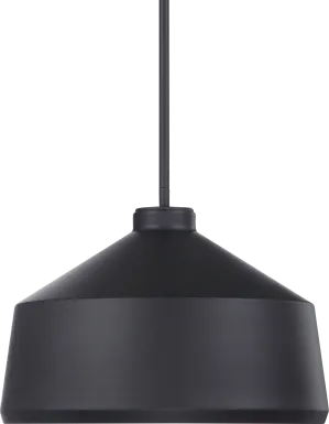Davi Creek Black Pendant