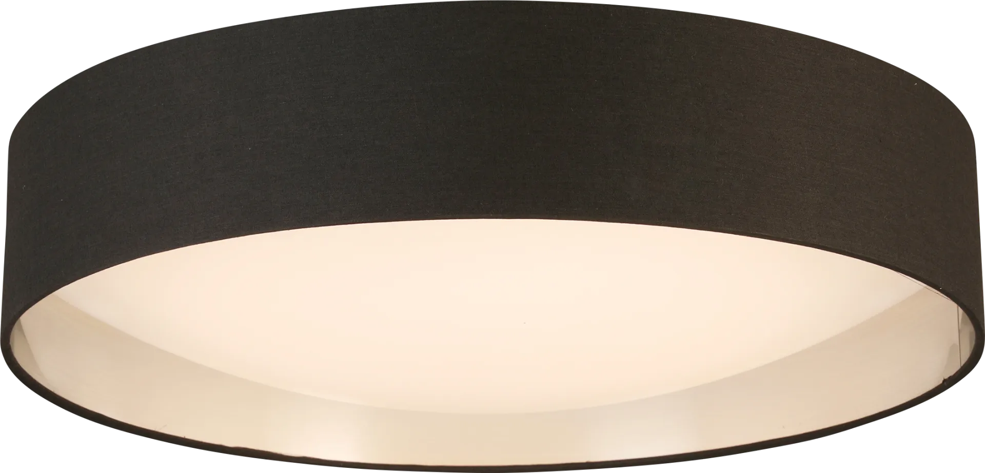 Aliso Lane Nickel Pendant - Image 1