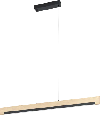 Brad View Black Pendant