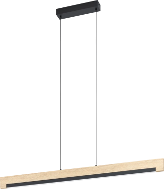 Brad View Black Pendant