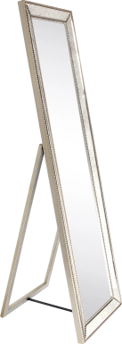 Danika Champagne Mirror