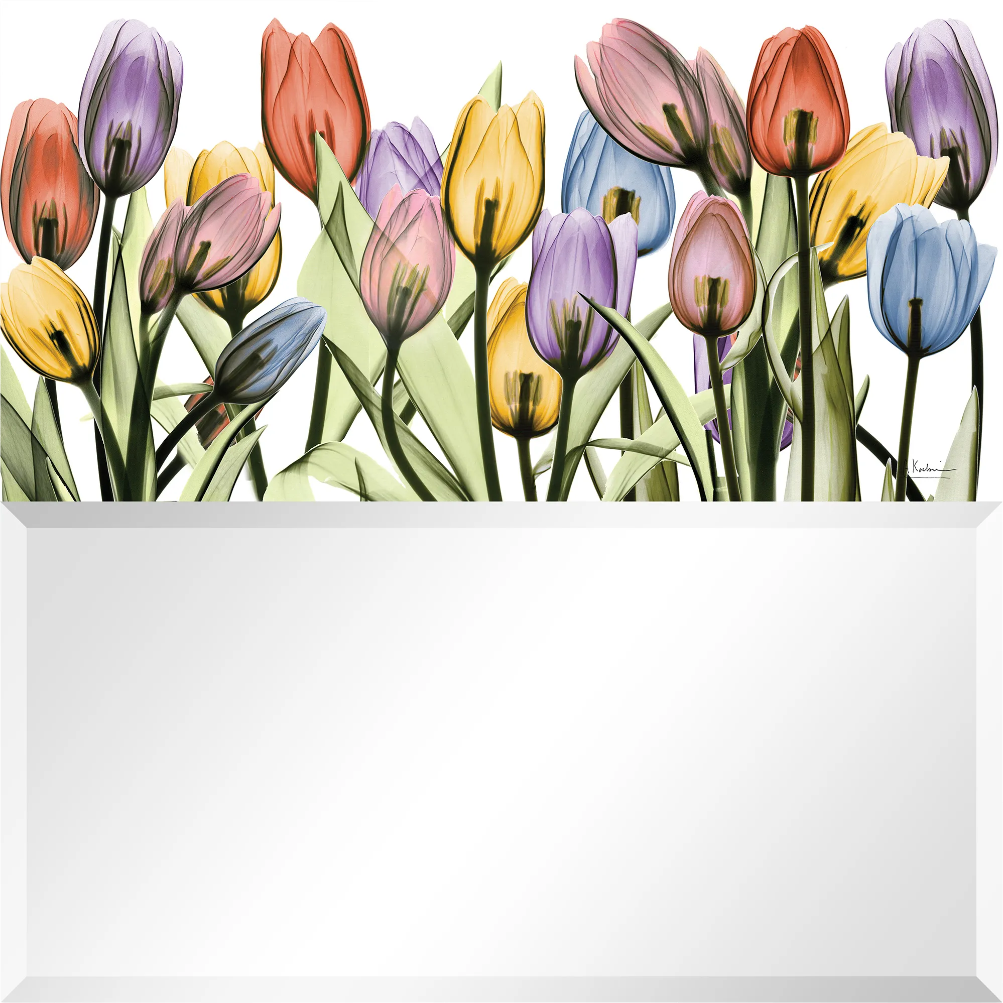 Ariah Multi Mirror - Thumbnail - Image 1