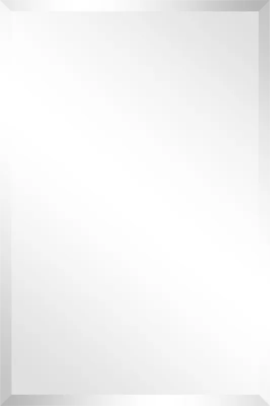 Nayda Silver Rectangle Small Mirror