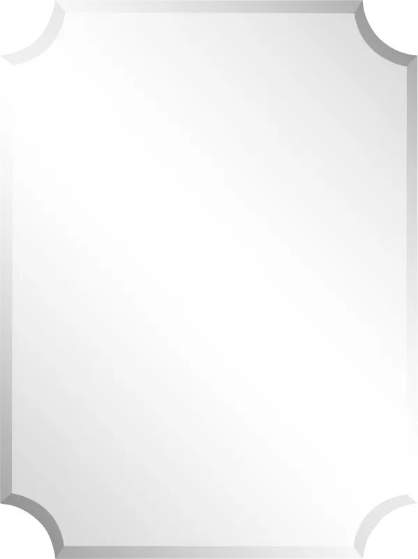 Synelle Silver Large Mirror