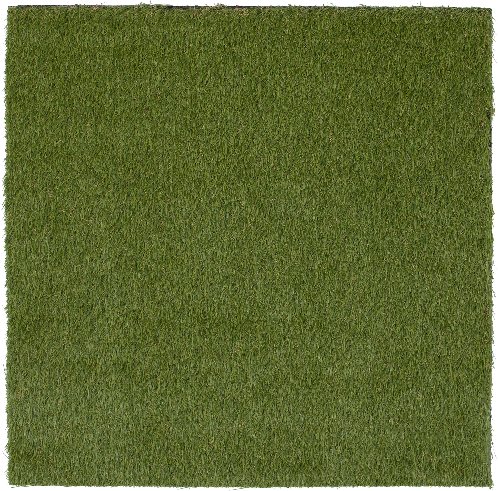 Gramen Green 5' x 7' Artificial Turf - Thumbnail - Image 1