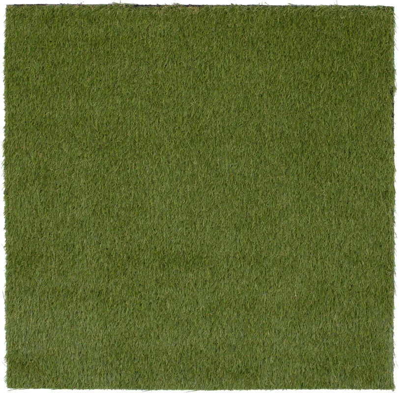 Gramen Green 5' x 7' Artificial Turf