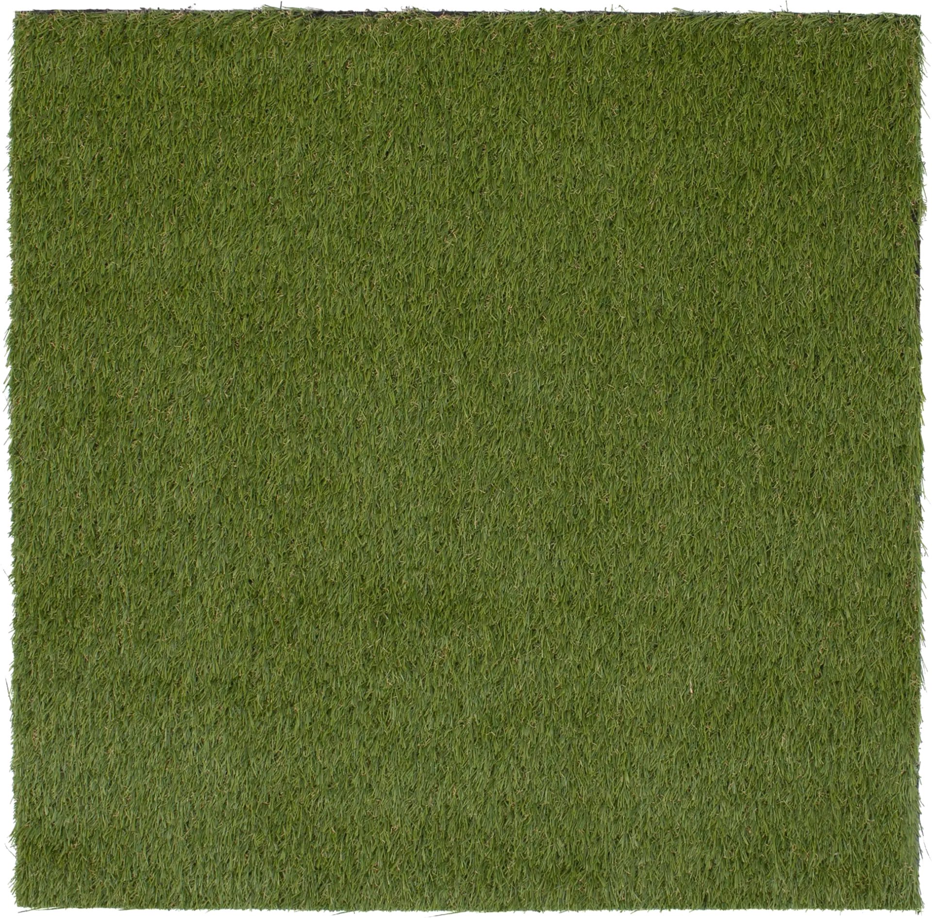 Gramen Green 3' x 8' Artificial Turf