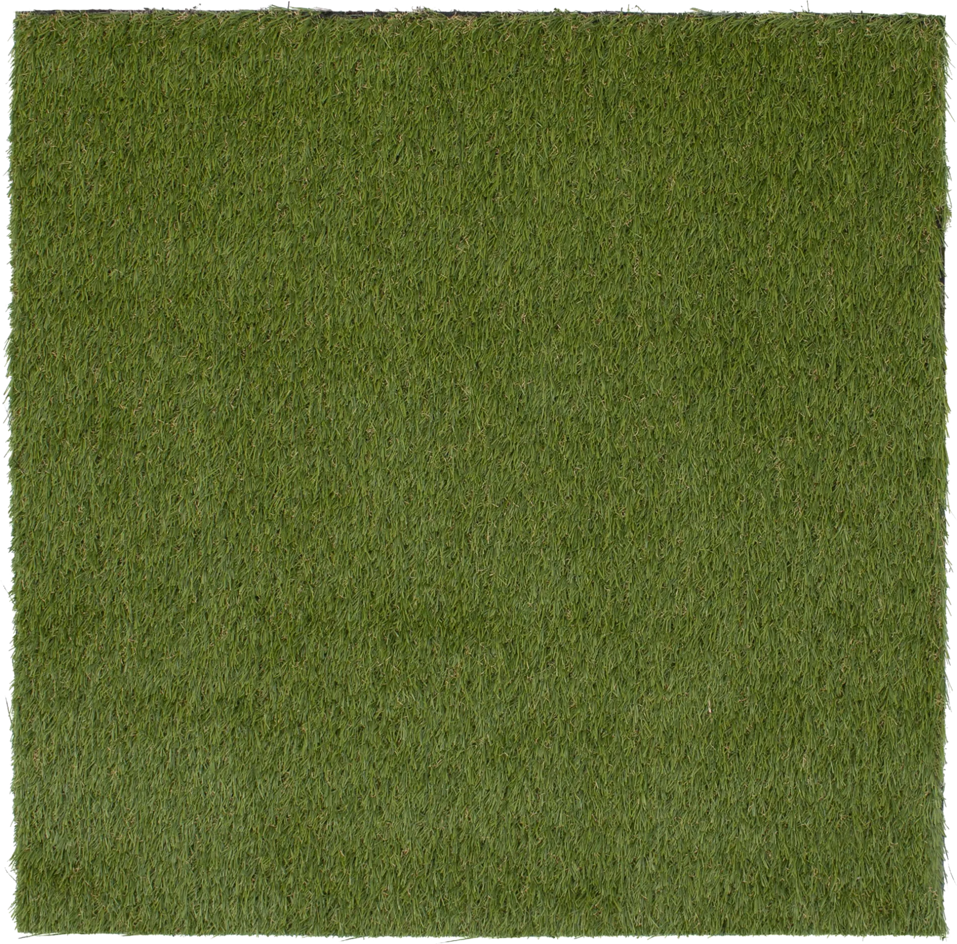 Gramen Green 5' x 7' Artificial Turf - Image 1
