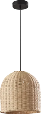 Hines Lane Bronze Pendant