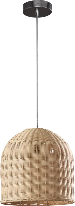 Hines Lane Bronze Pendant