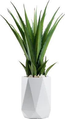 Altera Green 42 in. Artificial Succulent in White Planter
