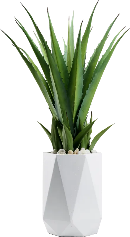 Altera Green 42 in. Artificial Succulent in White Planter