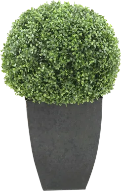 Elland Green 28 in. Artificial Boxwood Ball in Metal Planter