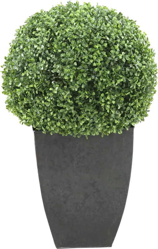 Elland Green 28 in. Artificial Boxwood Ball in Metal Planter