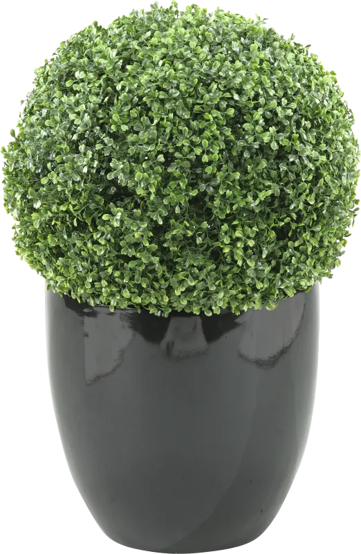 Elland Green 30 in. Artificial Boxwood Ball in Black Planter