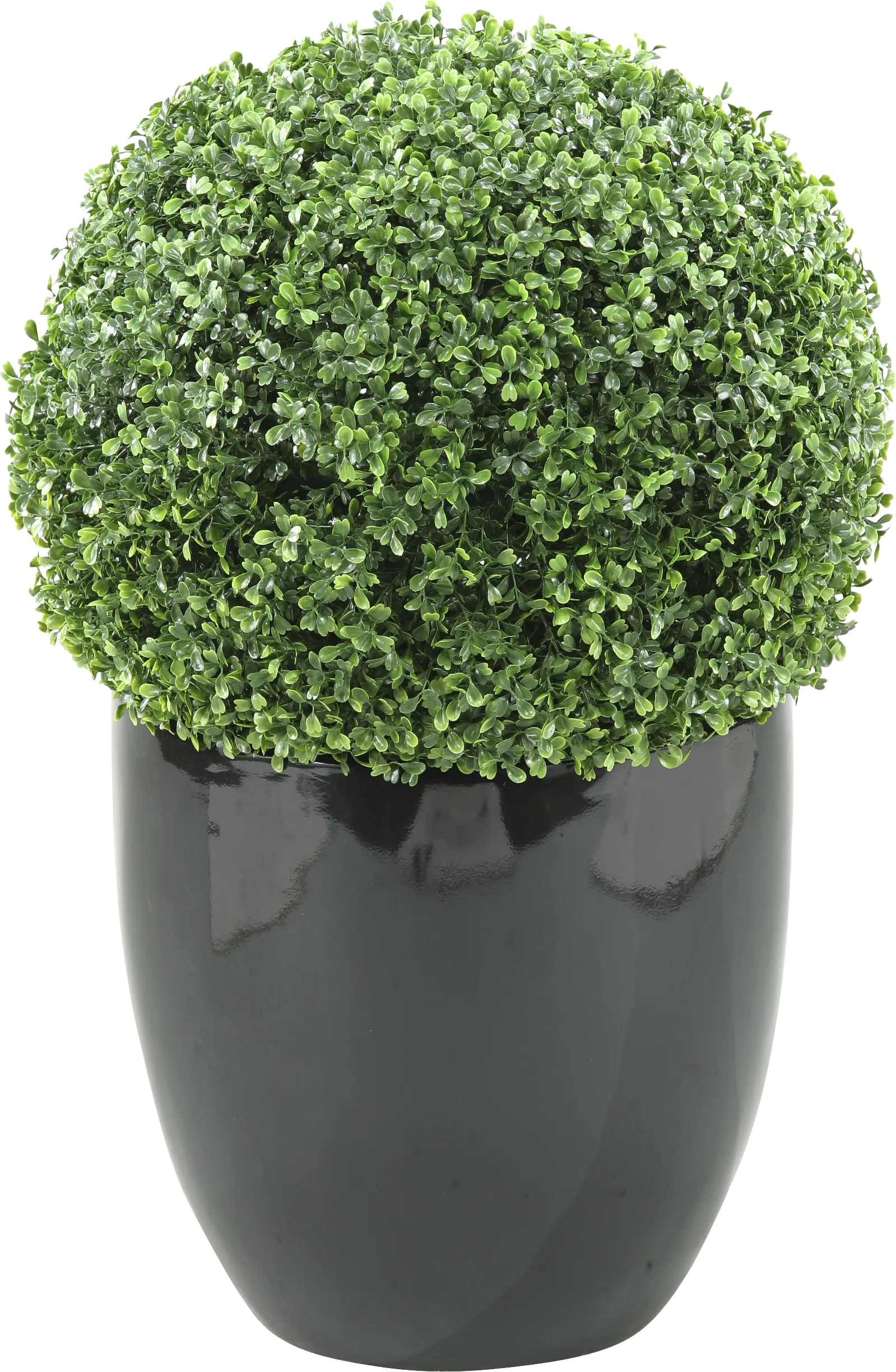 Elland Green 30 in. Artificial Boxwood Ball in Black Planter - Image 1