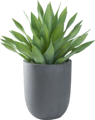Soloma Green 27 in. Artificial Large Desert Succulent in Gray Planter