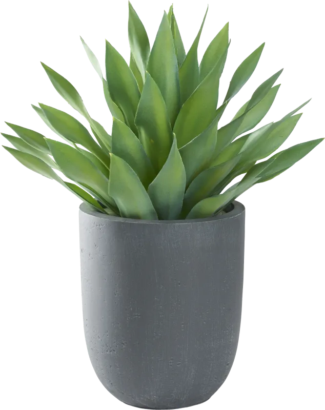 Soloma Green 27 in. Artificial Large Desert Succulent in Gray Planter
