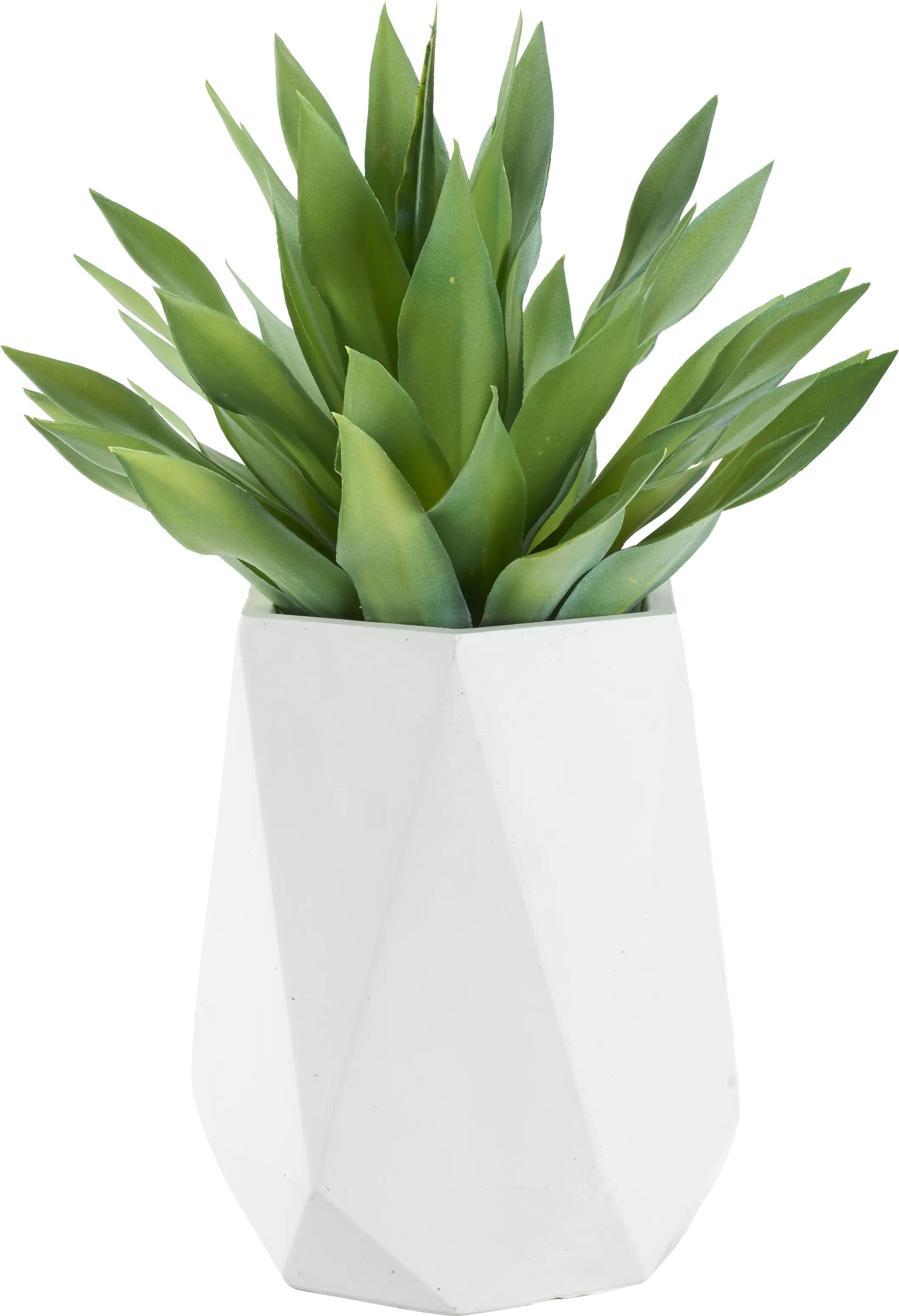Soloma Green 31 in. Artificial Desert Succulent in White Planter - Thumbnail - Image 1