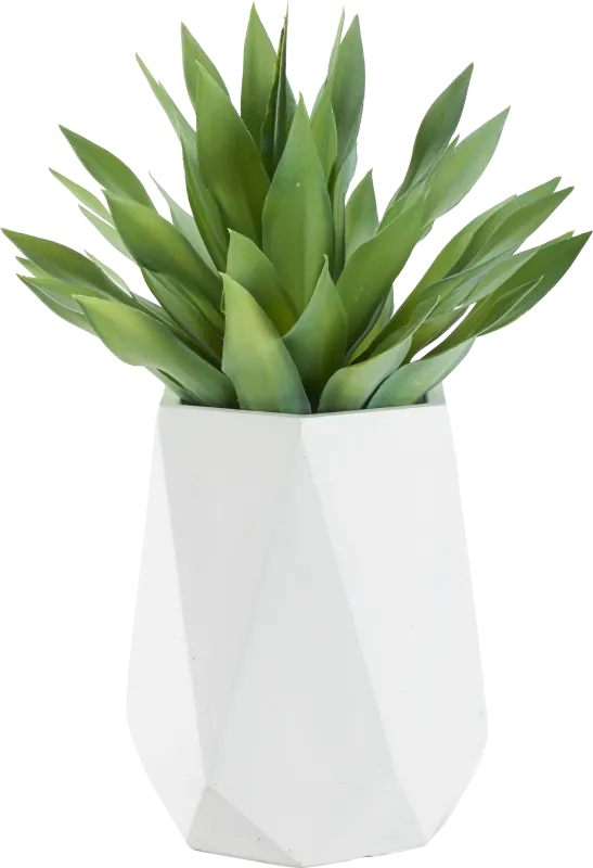 Soloma Green 31 in. Artificial Desert Succulent in White Planter