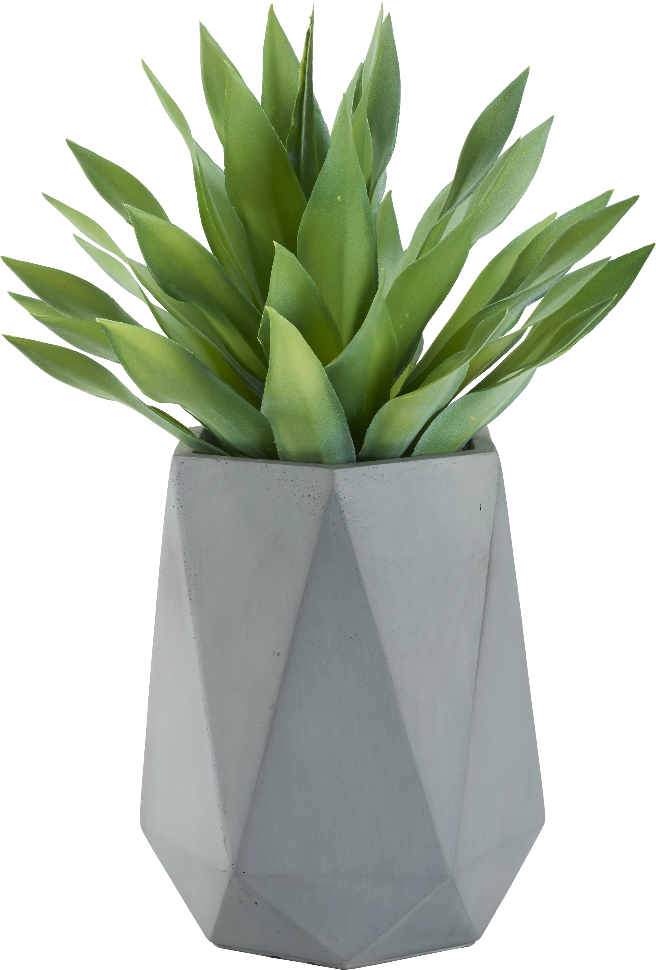 Soloma Green 31 in. Artificial Desert Succulent in Gray Planter