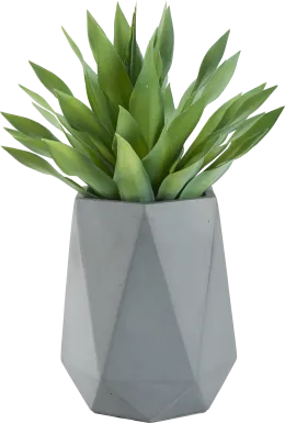 Soloma Green 31 in. Artificial Desert Succulent in Gray Planter
