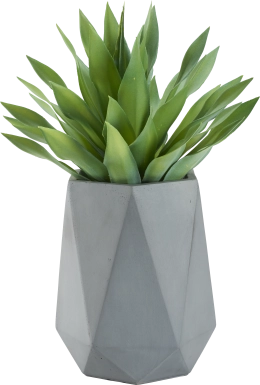 Soloma Green 31 in. Artificial Desert Succulent in Gray Planter