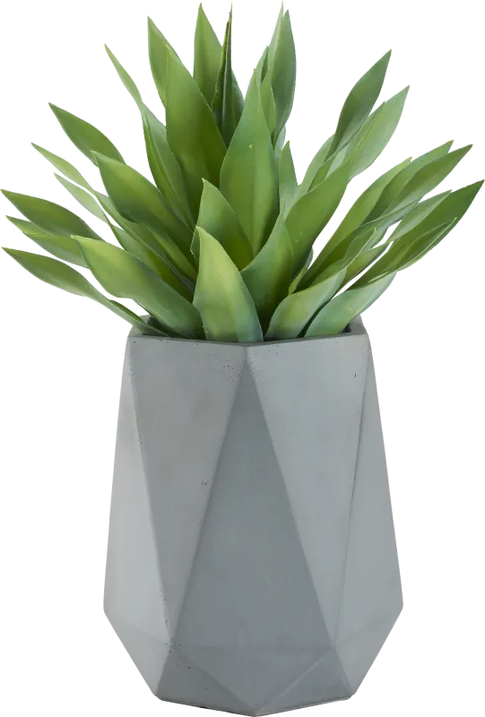 Soloma Green 31 in. Artificial Desert Succulent in Gray Planter
