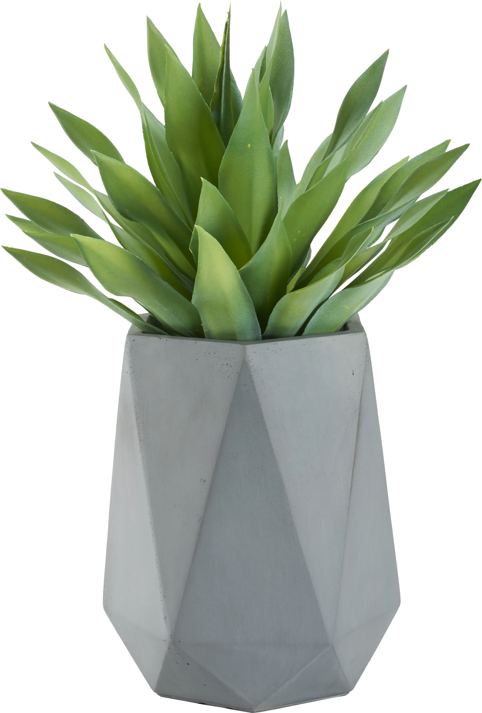 Soloma Green 31 in. Artificial Desert Succulent in Gray Planter - Image 1