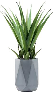 Altera Green 42 in. Artificial Succulent in Gray Planter